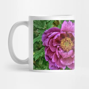 Japanese Tree Peony Mug